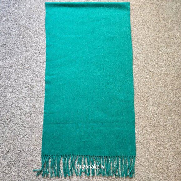 Ann Taylor Cashmere Green Fringed Scarf - Picture 3 of 16